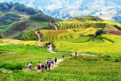 Nên đi Bằng Phương Tiện Gì? Nên đi Bằng Phương Tiện Gì?