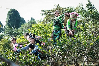 Khám phá khu du lịch Suối Giàng Khám phá khu du lịch Suối Giàng