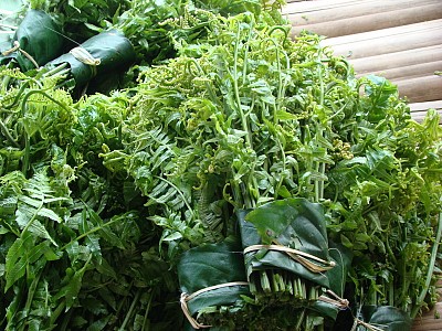 Những loại rau đặc sản của Sapa Những loại rau đặc sản của Sapa