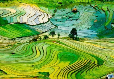 Những mùa hoa tạo nên vẻ đẹp nơi triền núi Những mùa hoa tạo nên vẻ đẹp nơi triền núi